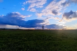 Земля Старая Чекаевка 4.27 га