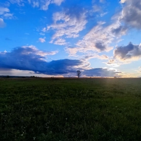 Земля Старая Чекаевка 4.27 га